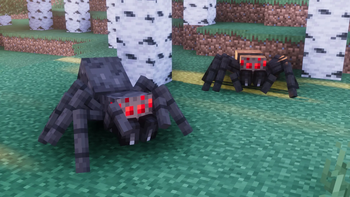Spiders