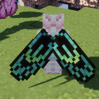 queen alexandras birdwing butterfly elytra