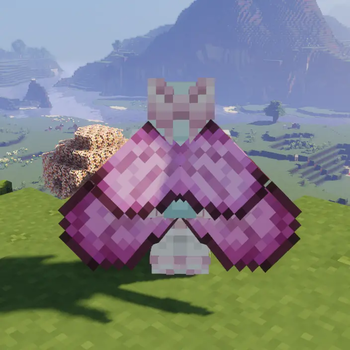pink butterfly elytra