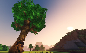 The Dreaming Tree