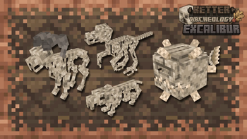 Fossils
