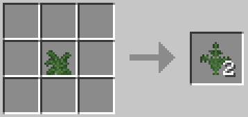 Large Fern -> Fern