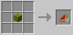 Melon -> Slices