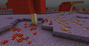 3D mushroom colonies models available since version 1.4