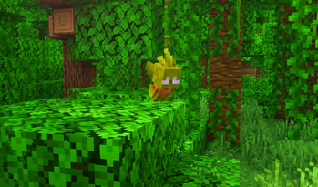 Cacofey