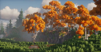 Fall birch leaves