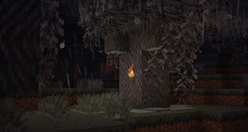 Pale Oak Forest