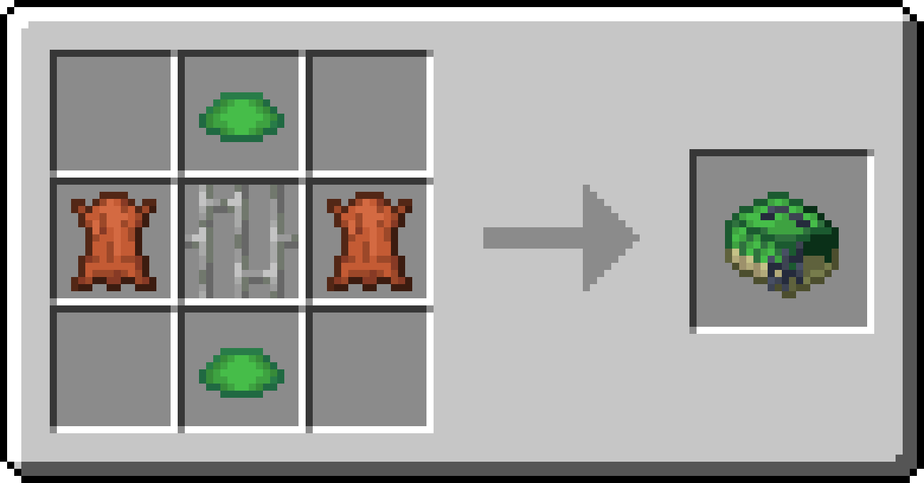 Pet Carrier