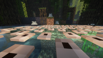 Frogspawn in Mangrove Swamp