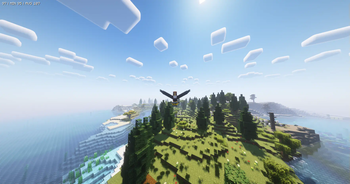Bird Bombing