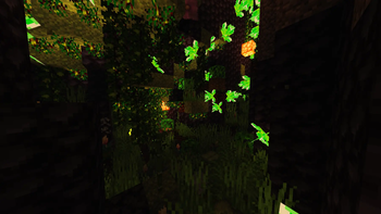 jungle cave system