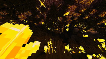 swamp cave system