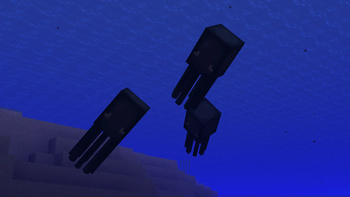 Squids