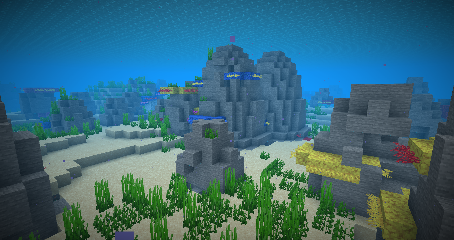 Reef redux cover