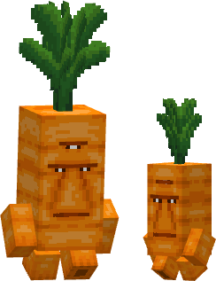 carrot
