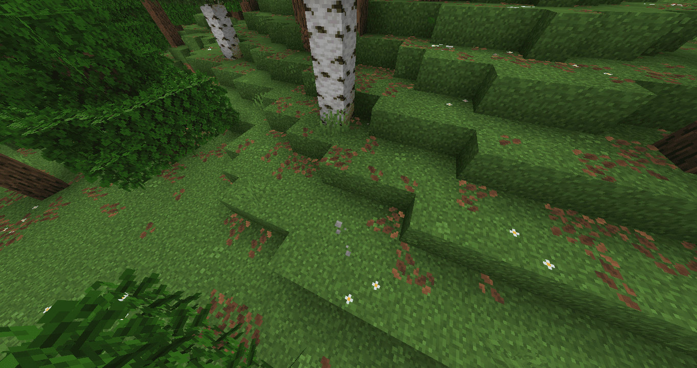Grass