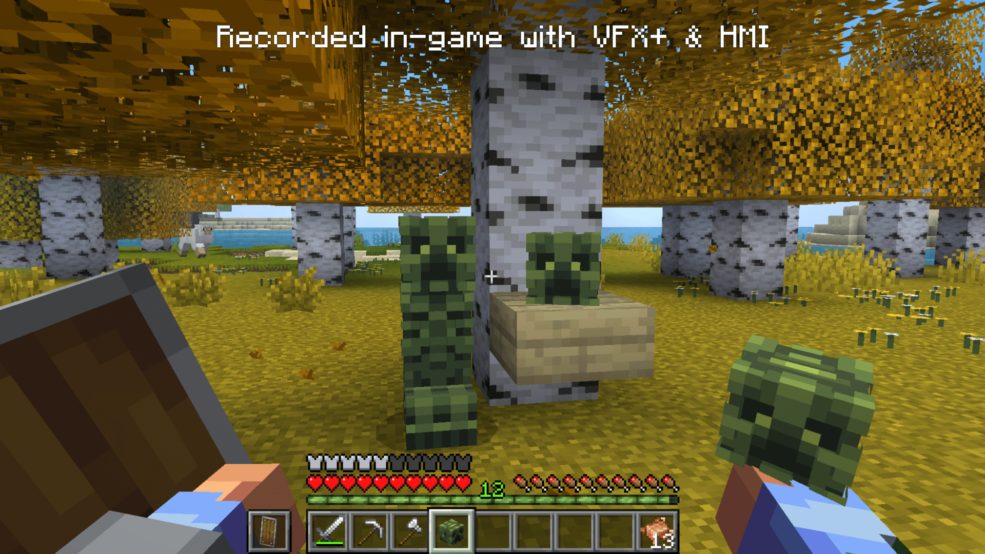 Creeper & Mob Head