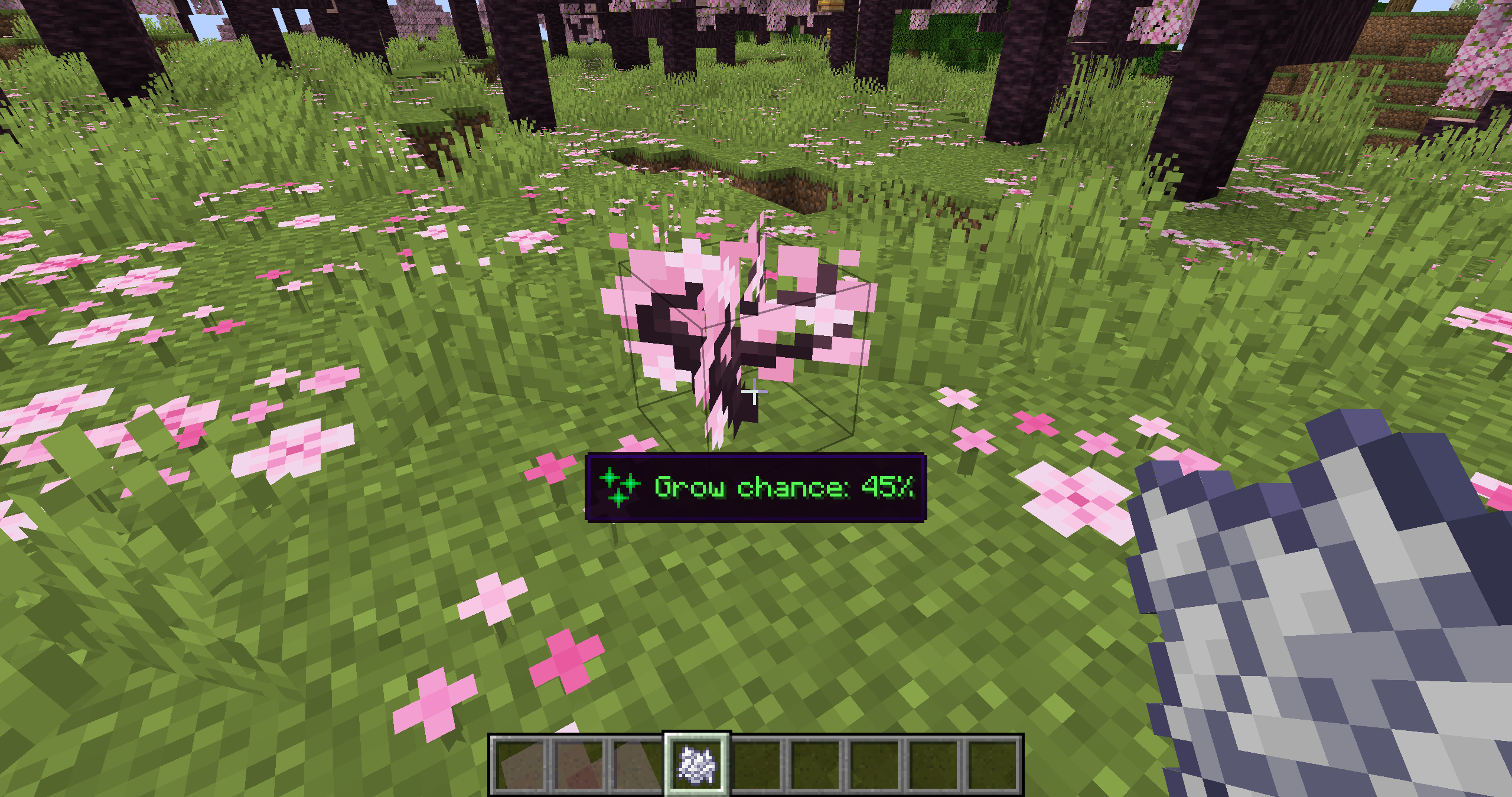 Bone Meal Example