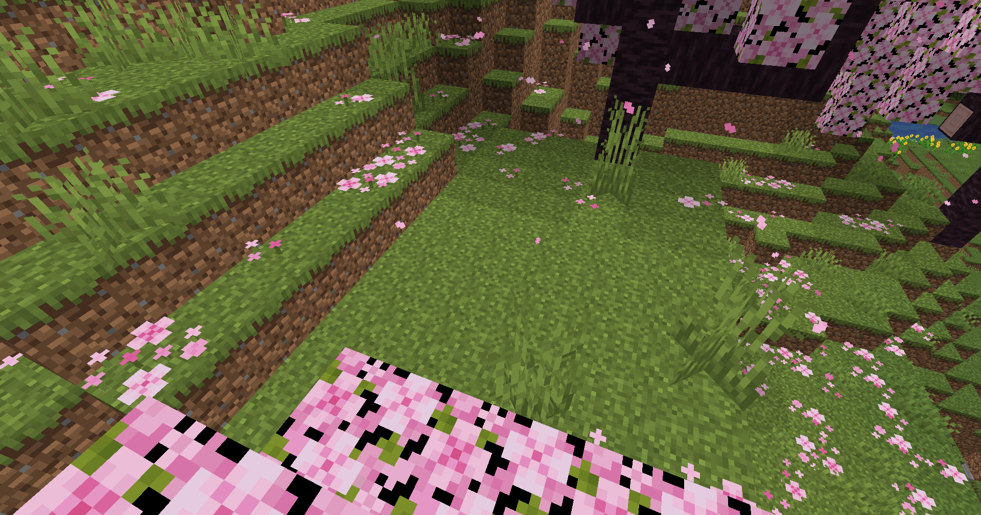 A small clearing in the middle of a cherry forest