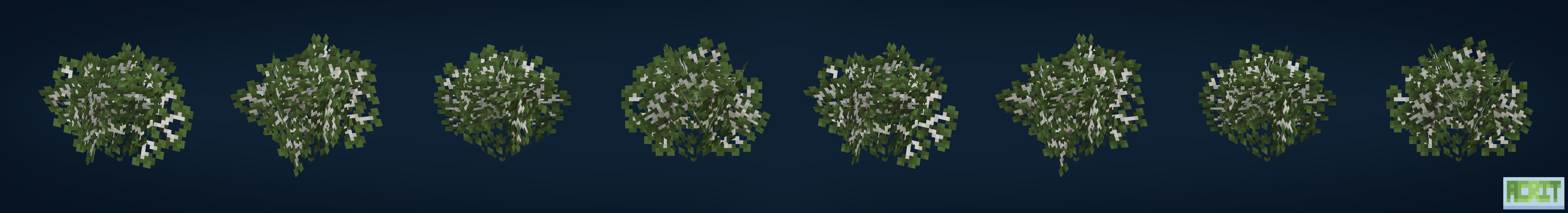 Dense Birch Leaves