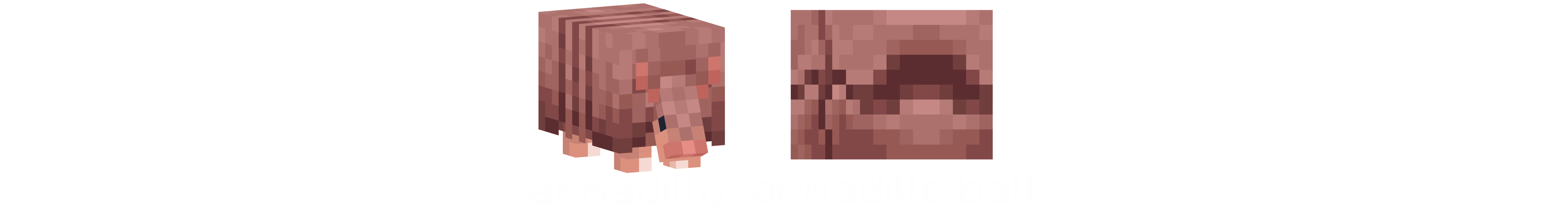 armadillo