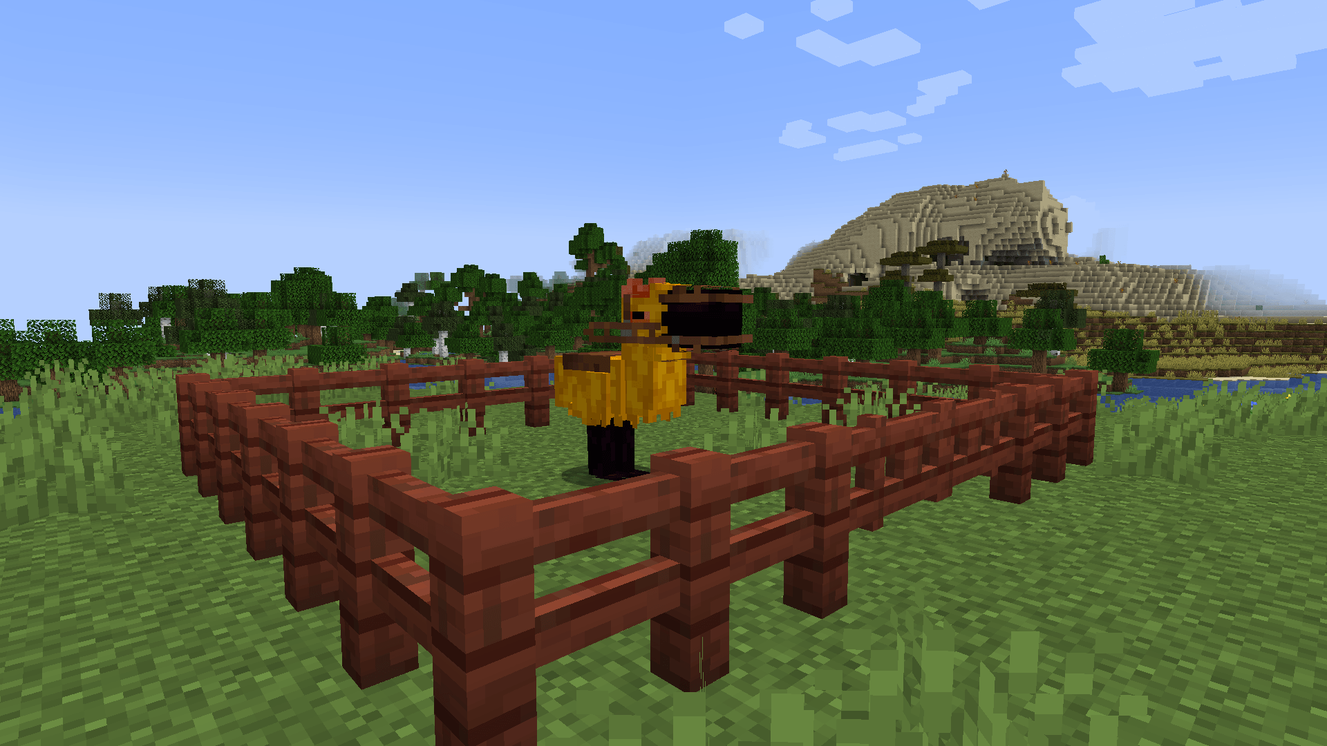 A  yellow Tamed Craw in an enclosure