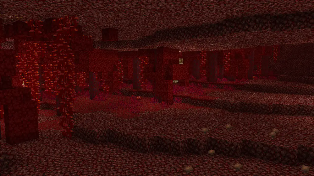 Nether