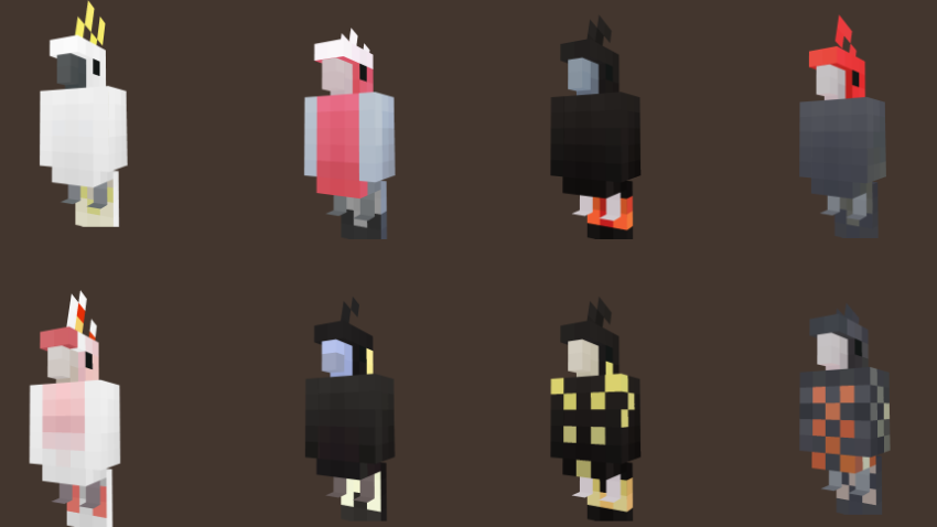 Cockatoo Parrot  Variants