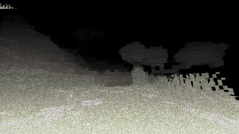 GIF