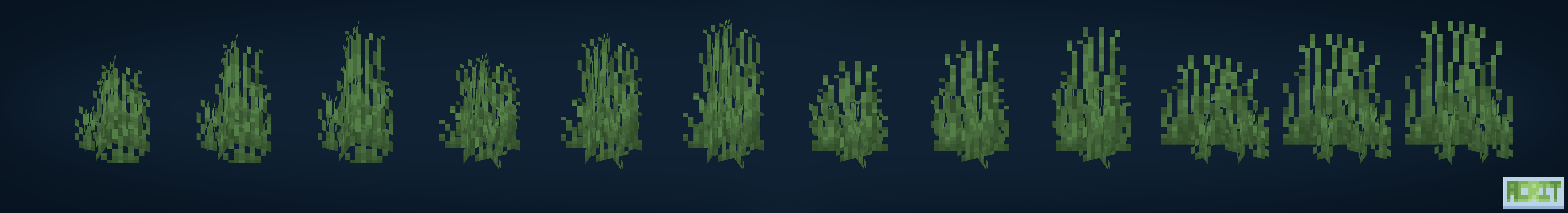Dense Tall Grass