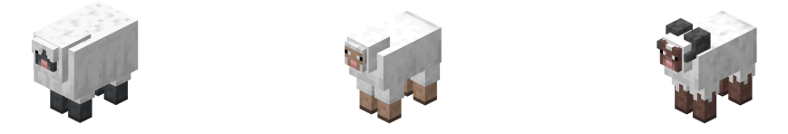 sheep