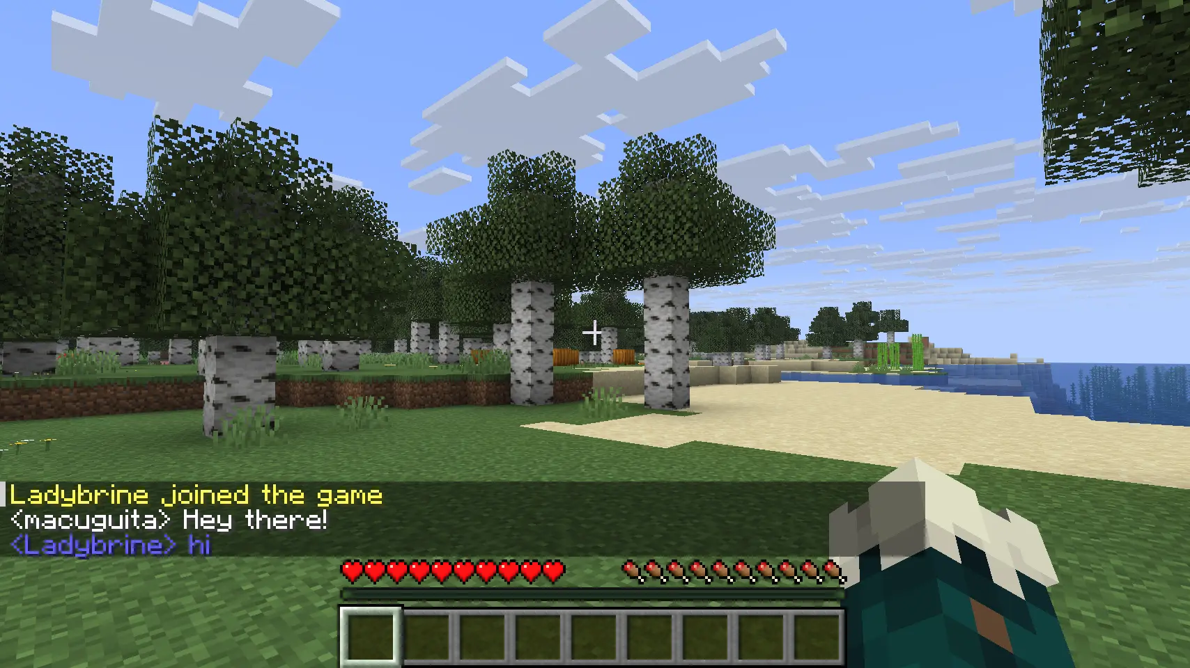 Ladybrine joins the server and macuguita with white colors on the chat says "Hey there!" Ladybrine with a blue chat color answers "hi"