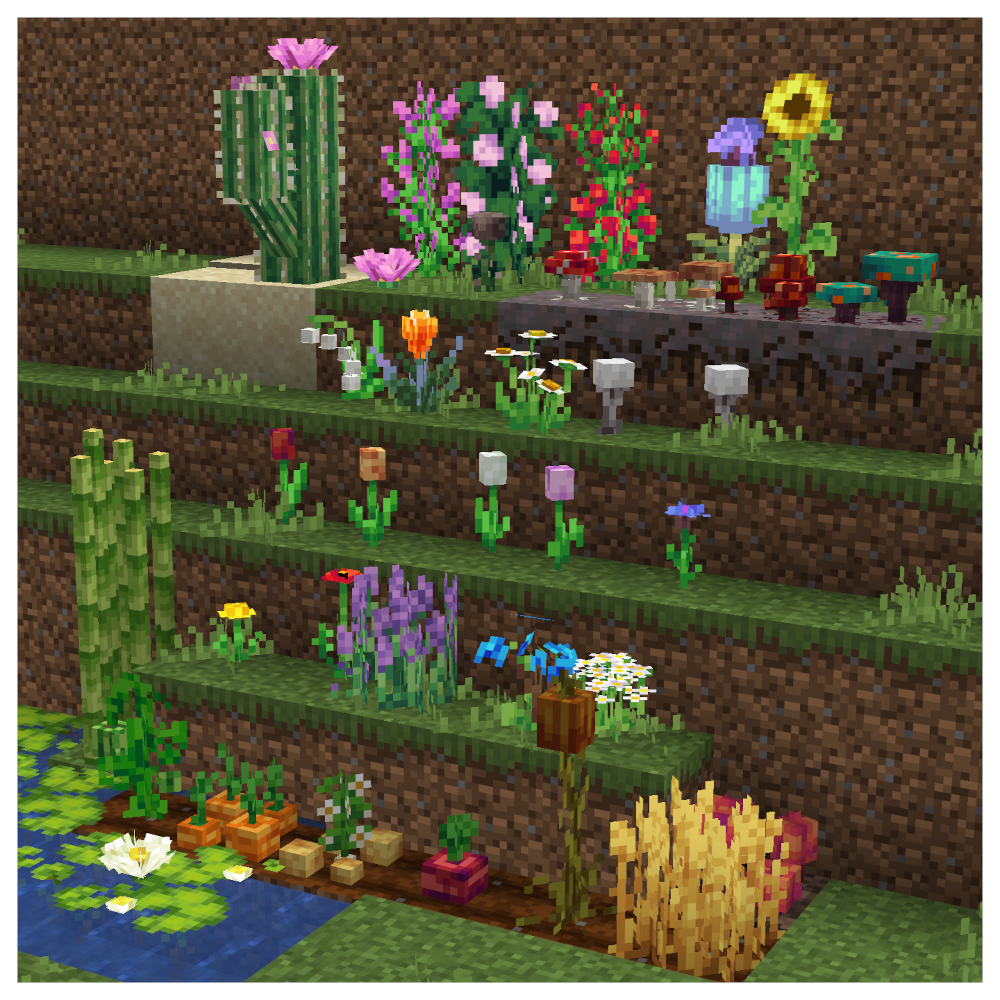 Showcase of the foliage