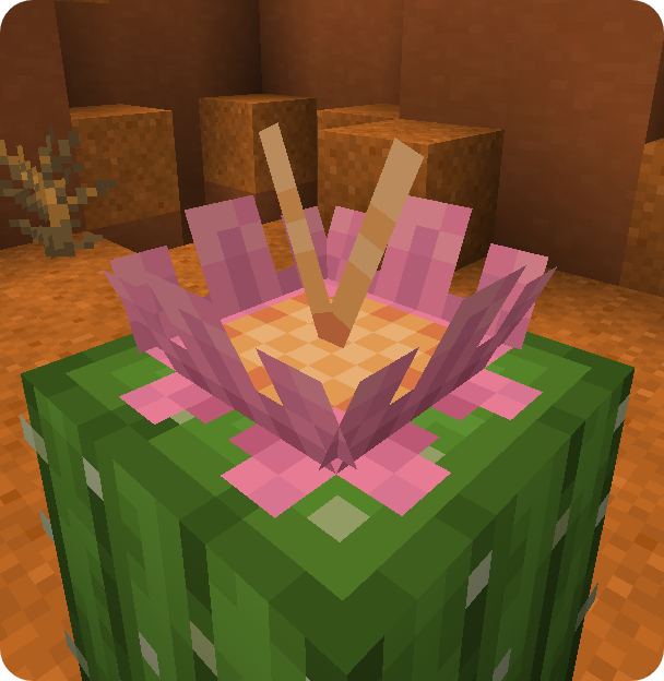cactus_flower