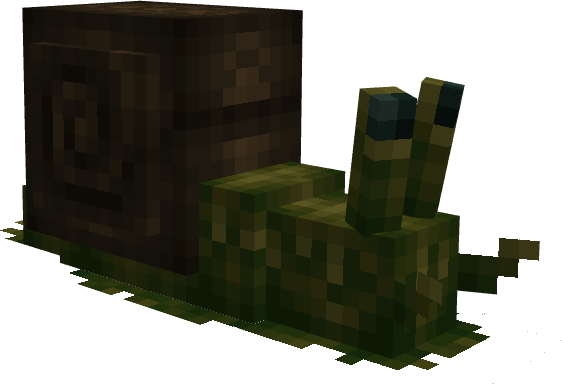 Snail