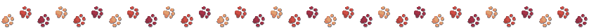 Decorative image of paw prints going in a line.