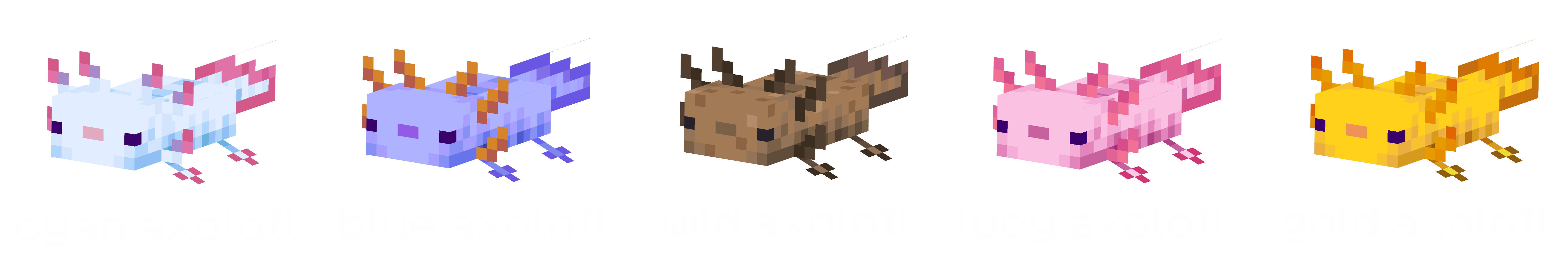 axolotl