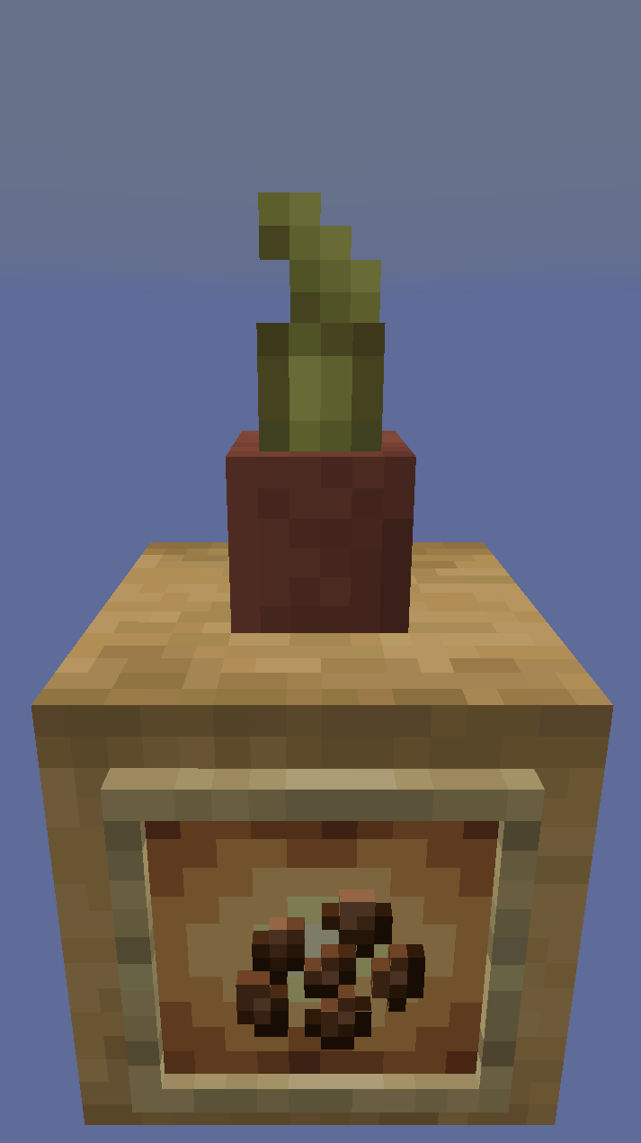 Potted Cocoa