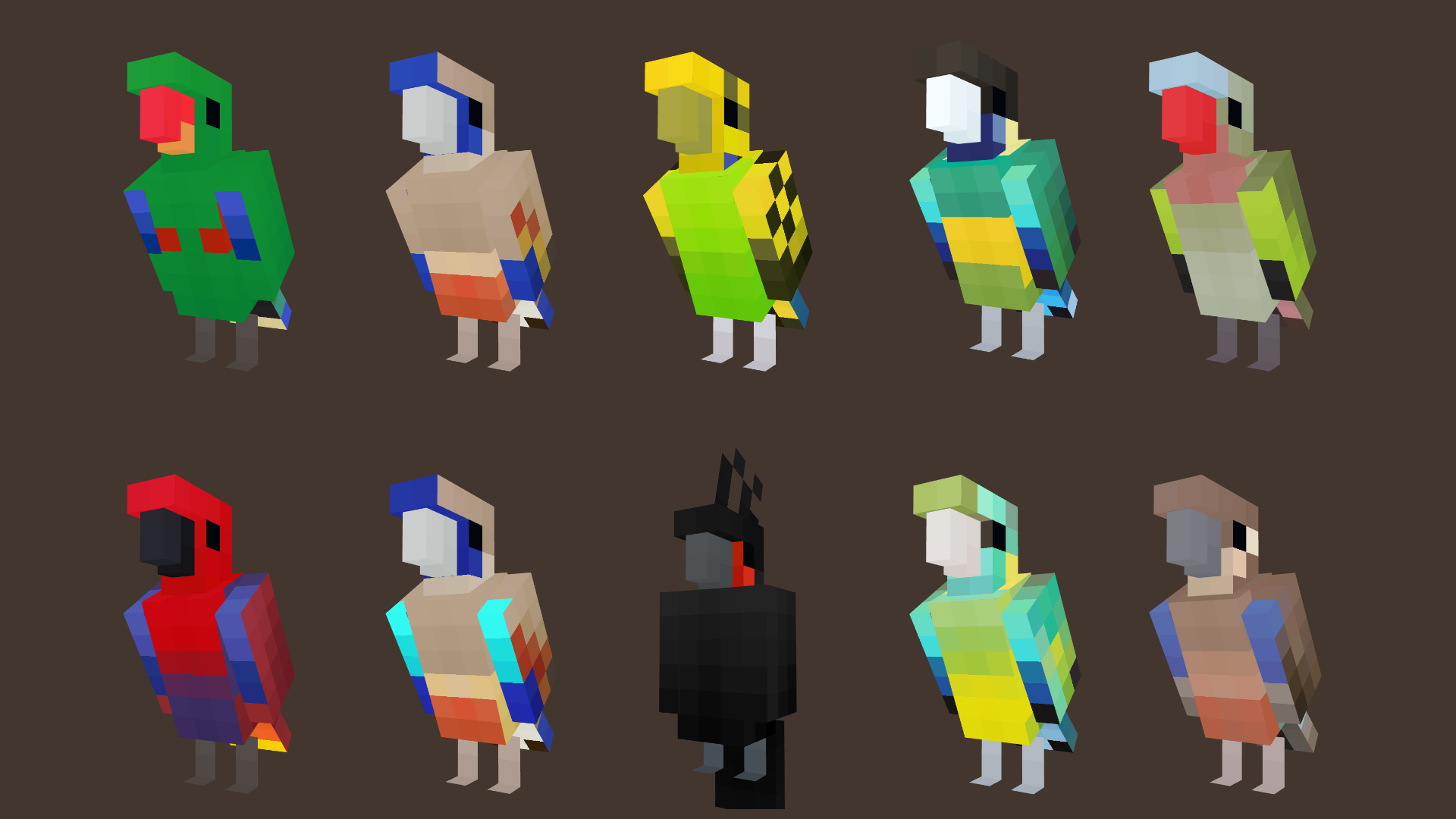 Parrots of Australia Variants