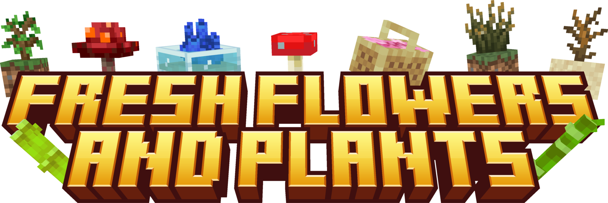 Fresh Flowers and Plants