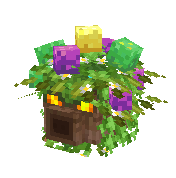 forest mojo