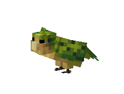 A kakapo dancing