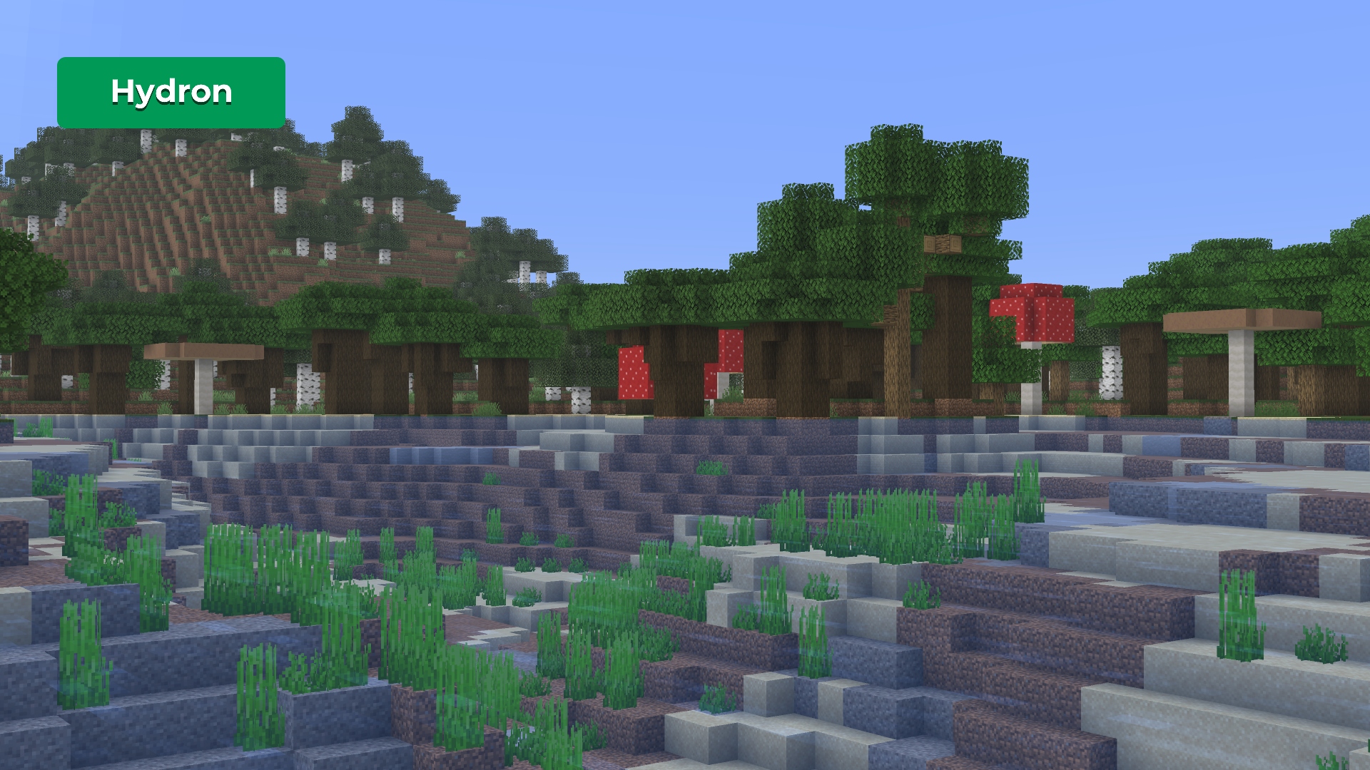 Vanilla Vignette