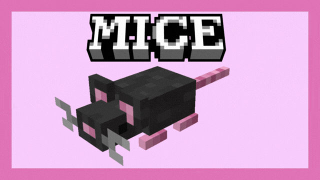 GIF of Mice Variants