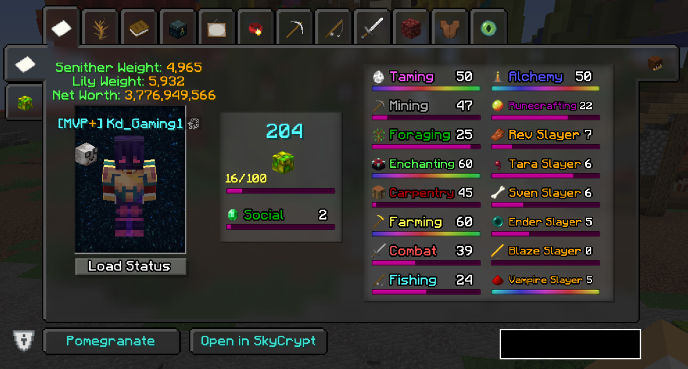 Showcasing how the GUI of the profile viewer locks.