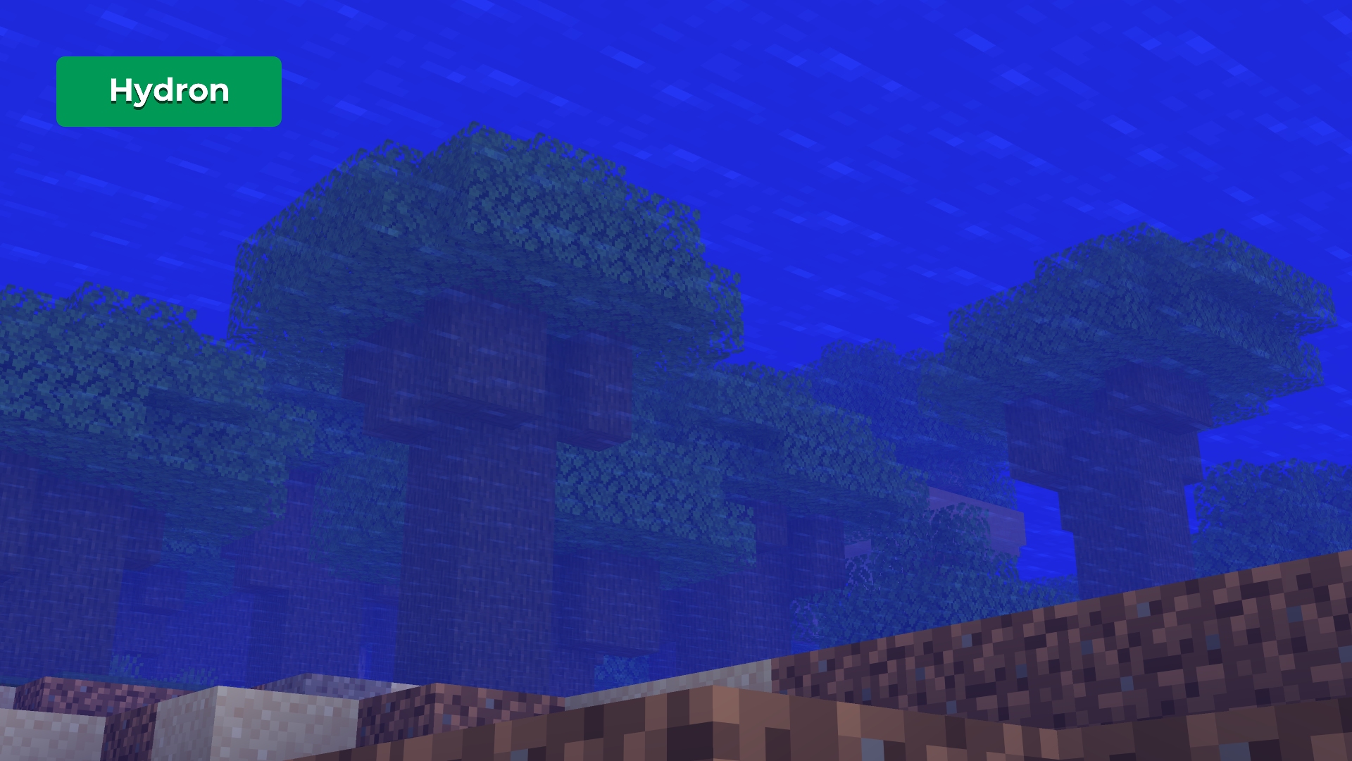 Hydron Underwater View