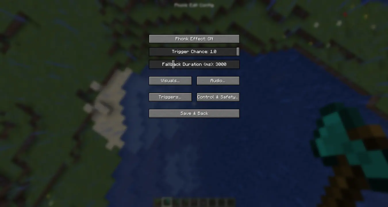a view of the settings menu for the mod.