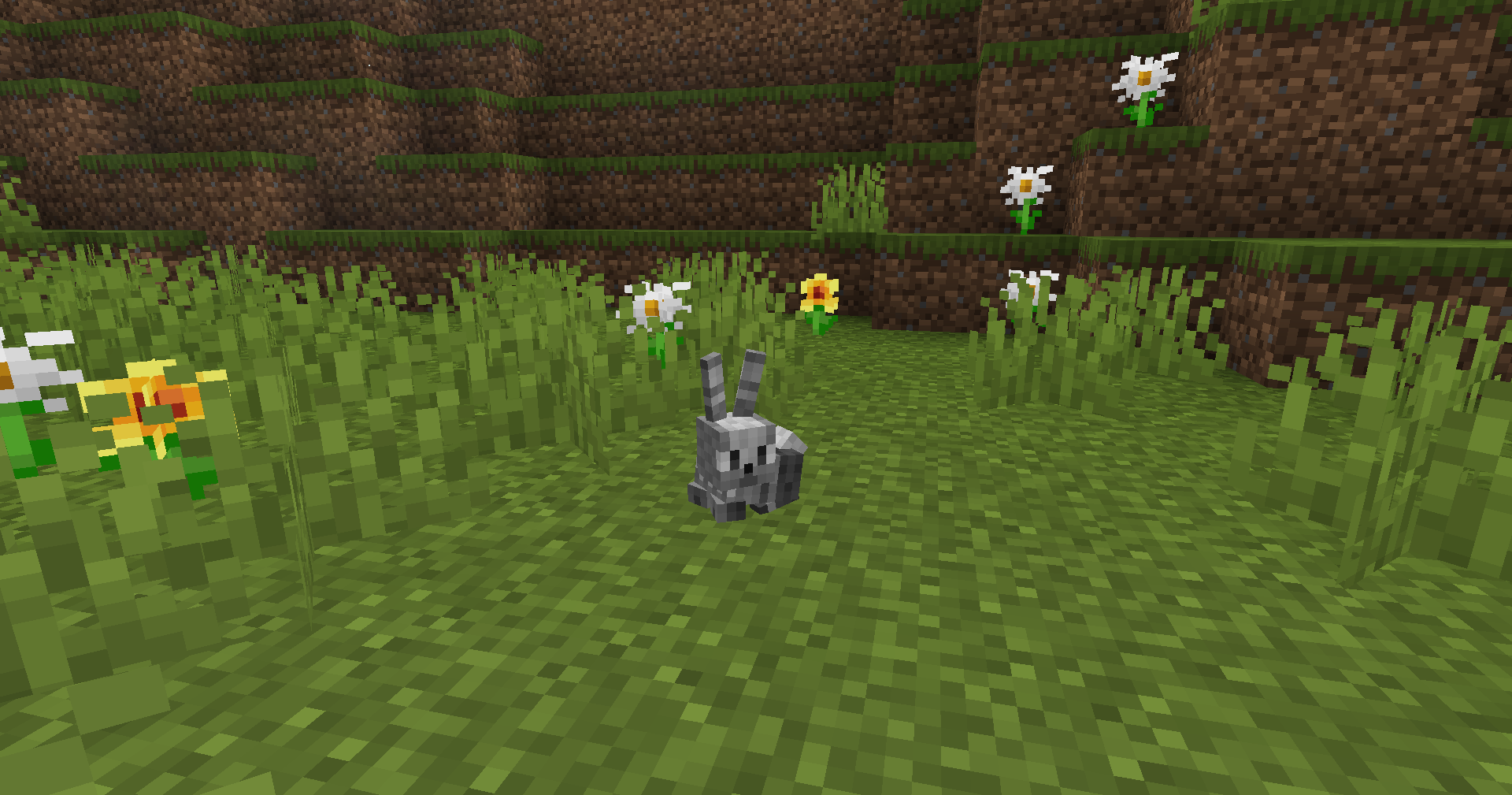 Bunnycomb in a plains biome staring to its left, some grass, buttercup and daisy flowers are around the Bunnycomb