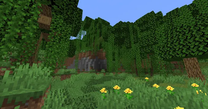 a dense oak forest with vines