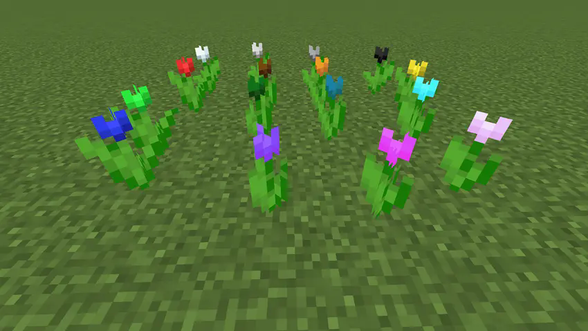 Tulips of all the dye colors